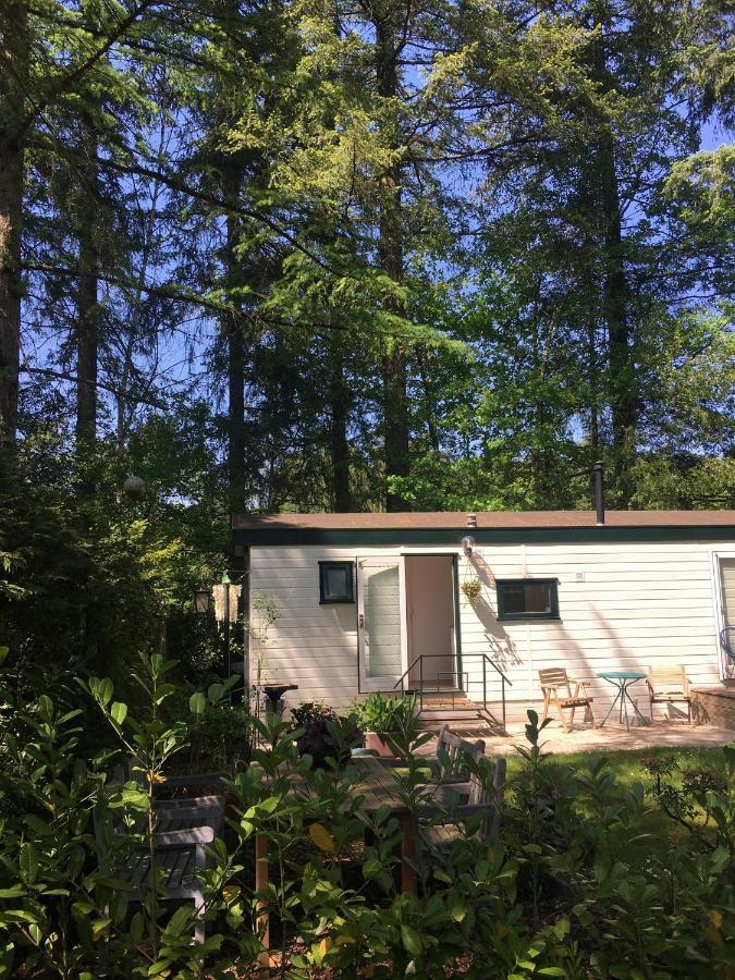 Sfeervol Vakantiehuisje In Bosrijke Omgeving Vorden Exterior foto
