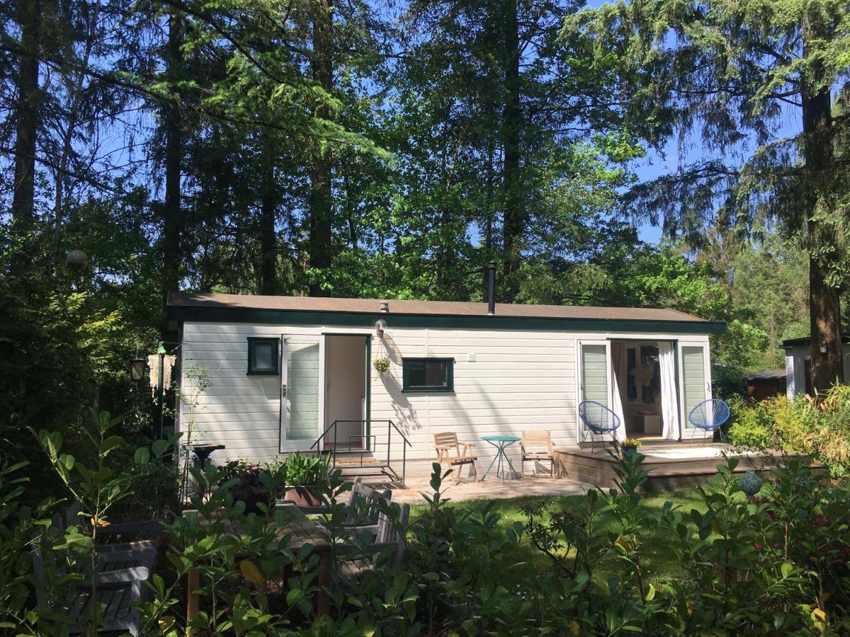 Sfeervol Vakantiehuisje In Bosrijke Omgeving Vorden Exterior foto